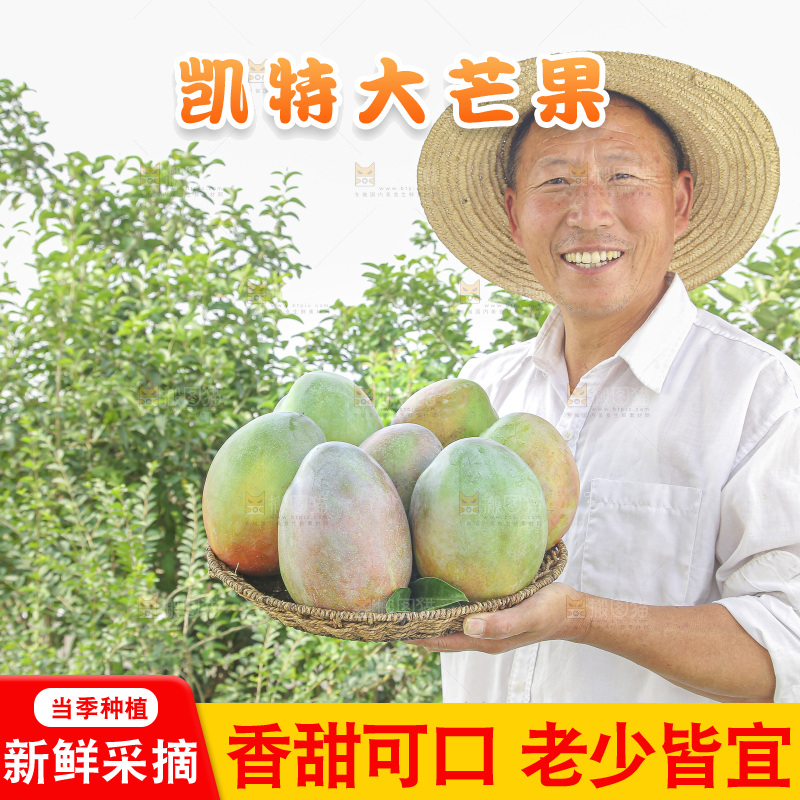 手里拿着新鲜凯特芒