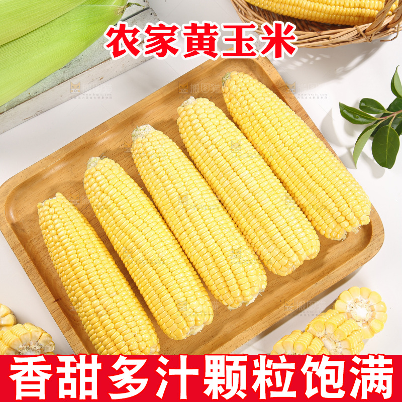 浅底上的黄玉米