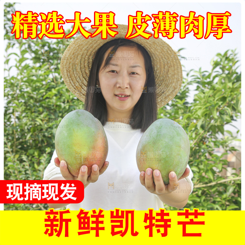 手里拿着新鲜凯特芒