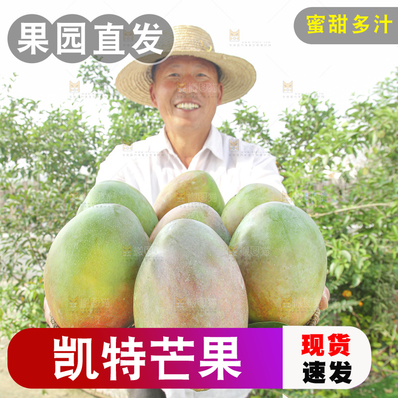 手里拿着新鲜凯特芒