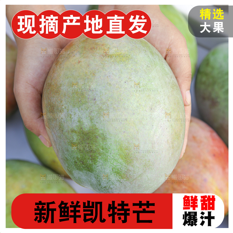 手里拿着新鲜凯特芒