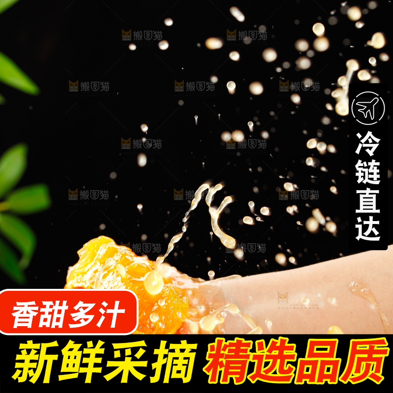 浅底上的爱媛果冻橙