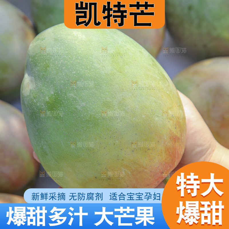 手里拿着新鲜凯特芒