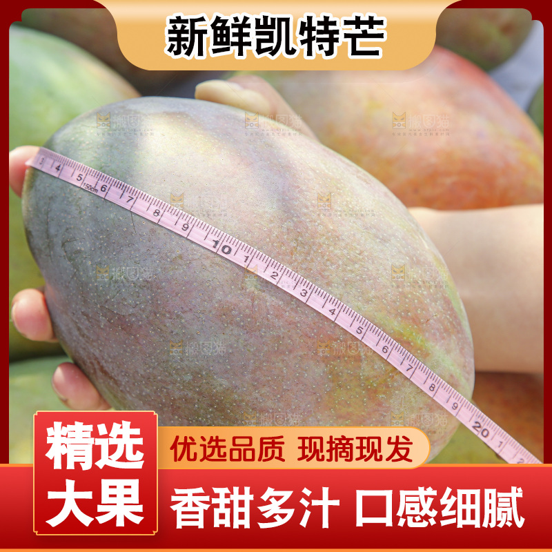 手里拿着新鲜凯特芒