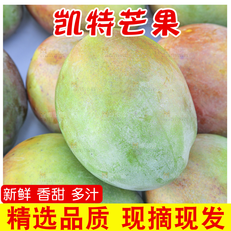 手里拿着新鲜凯特芒