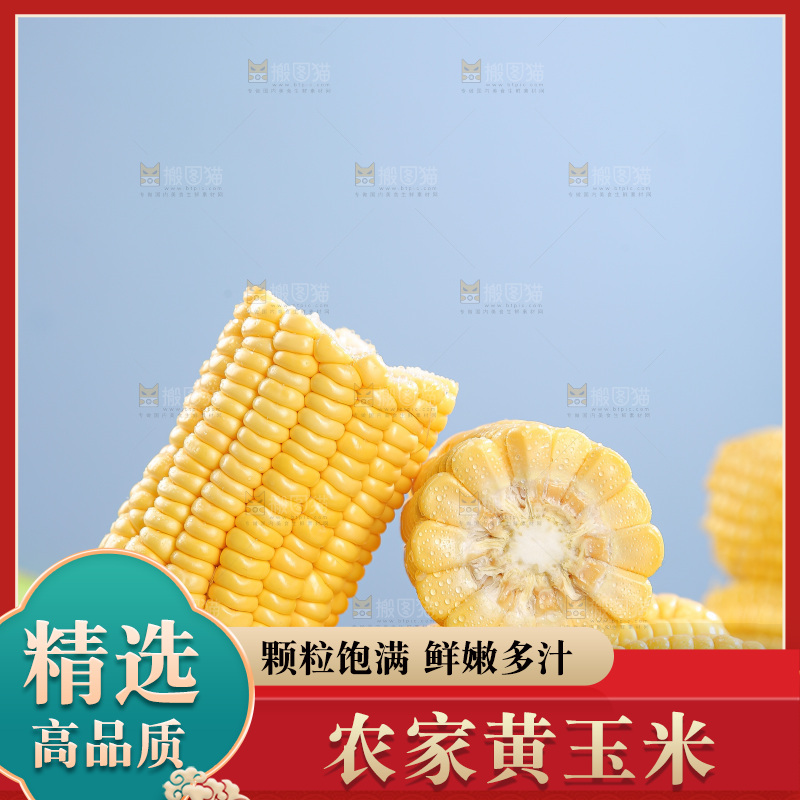 浅底上的黄玉米