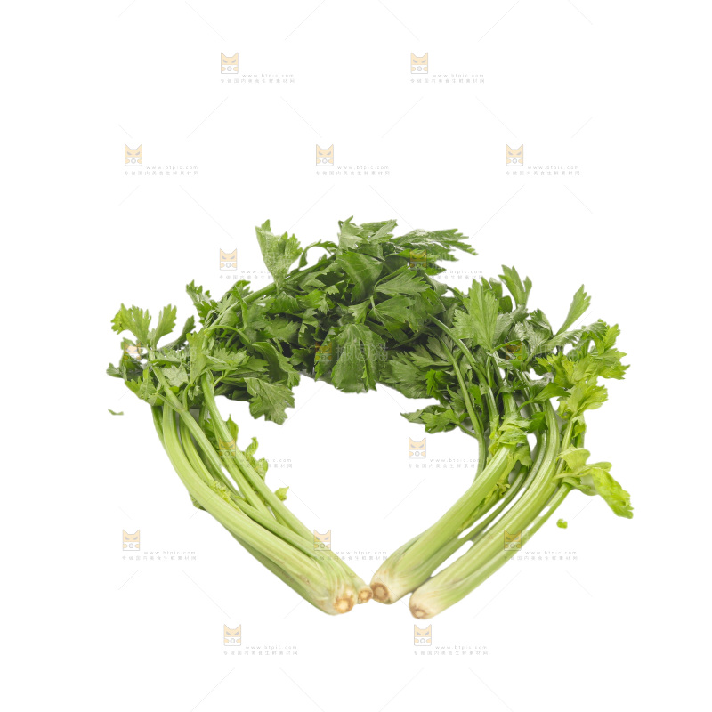 白底上的芹菜
