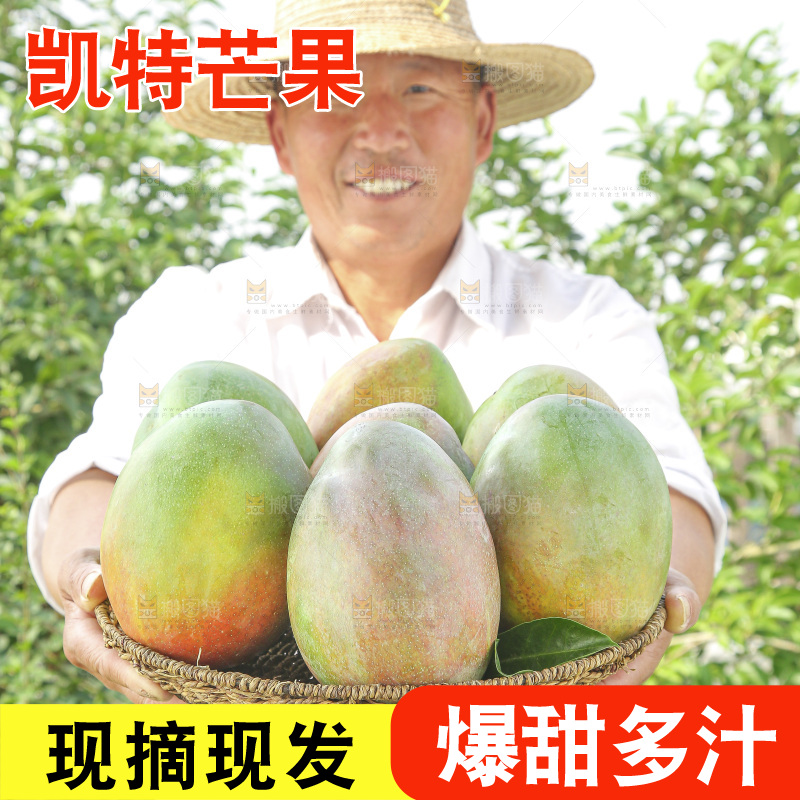 手里拿着新鲜凯特芒