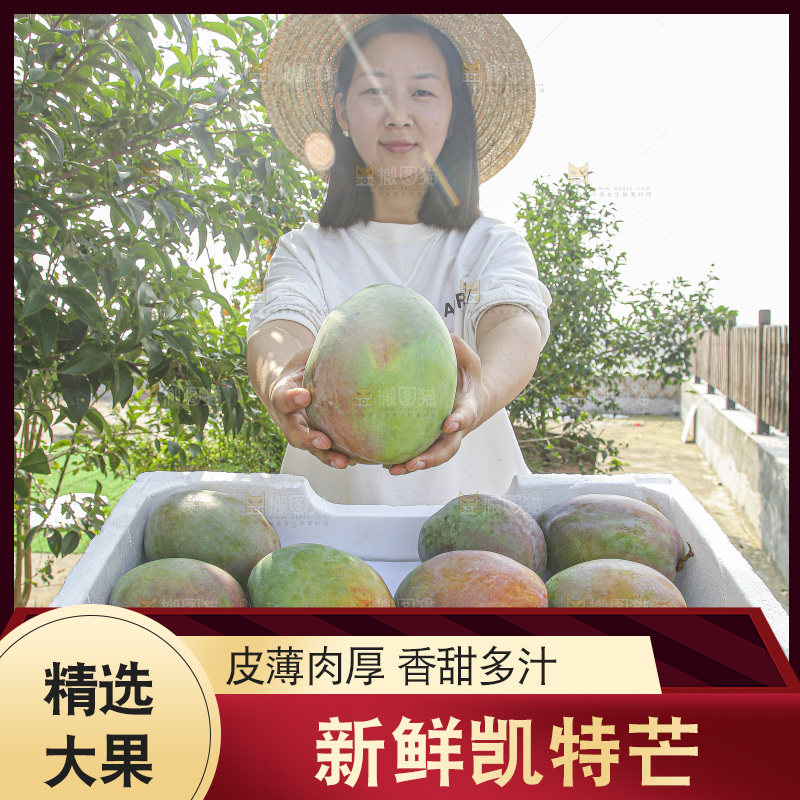 手里拿着新鲜凯特芒