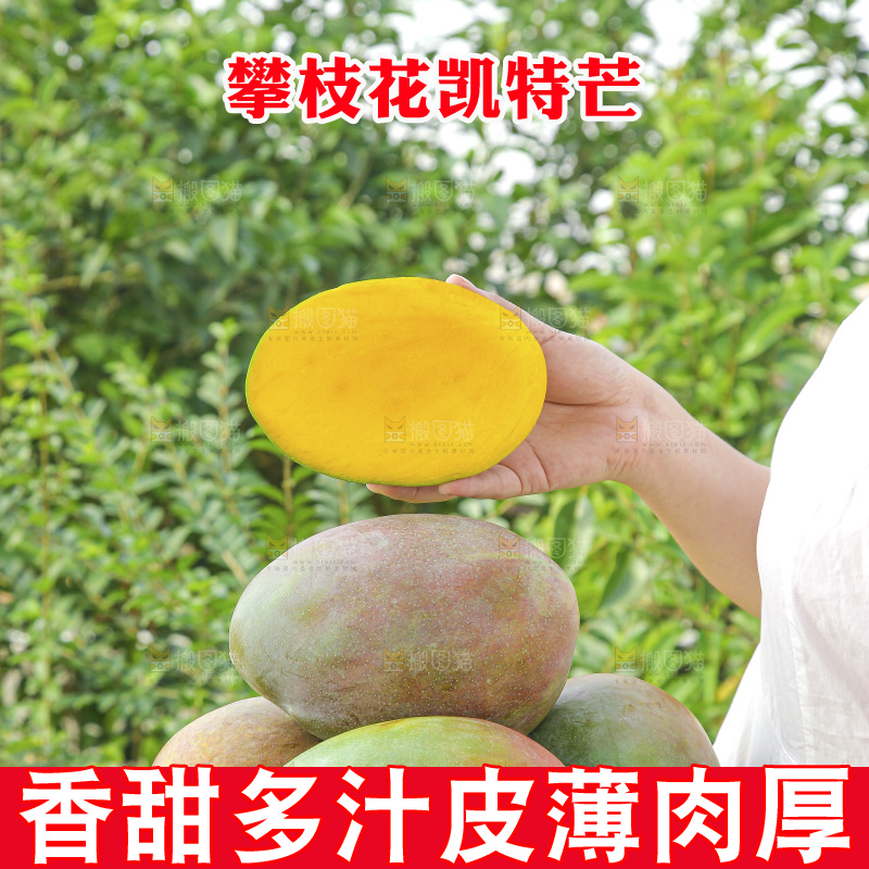 手里拿着新鲜凯特芒