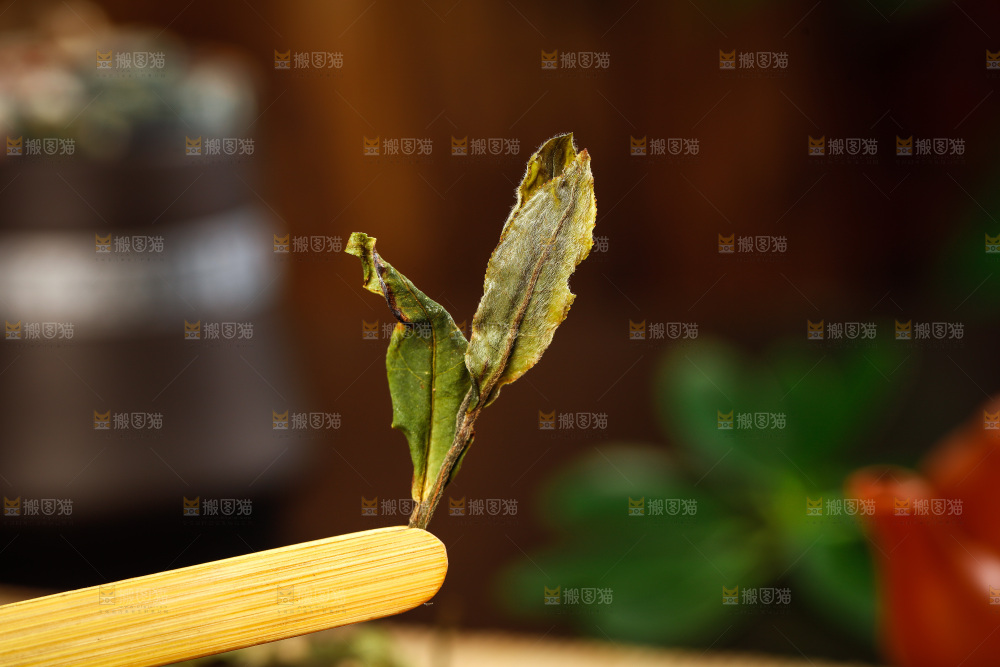 深底上的白茶