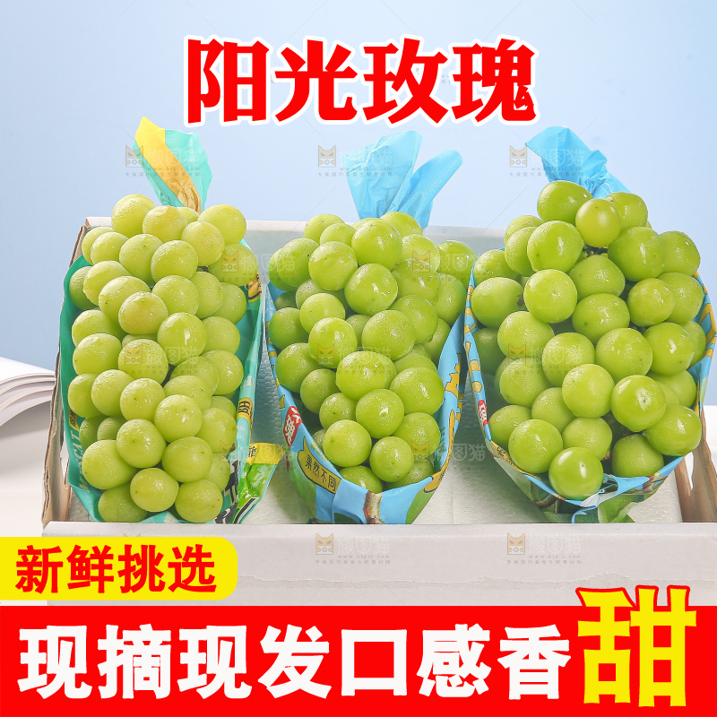 浅底上的阳光玫瑰