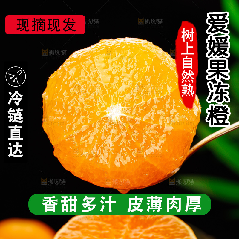 深底上的爱媛果冻橙