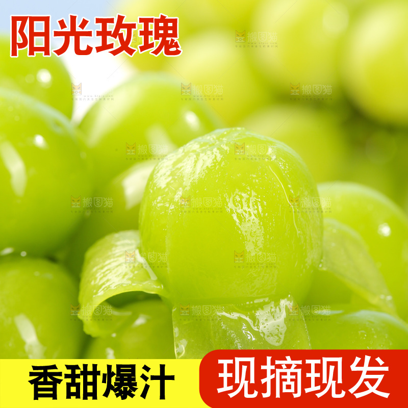浅底上的阳光玫瑰