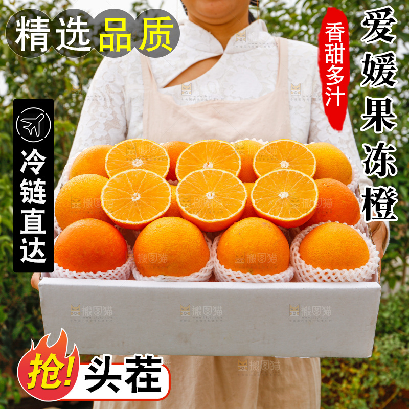 深底上的爱媛果冻橙