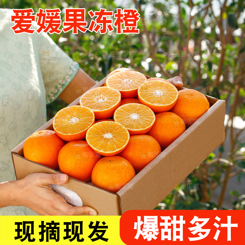 手里拿着爱媛果冻橙