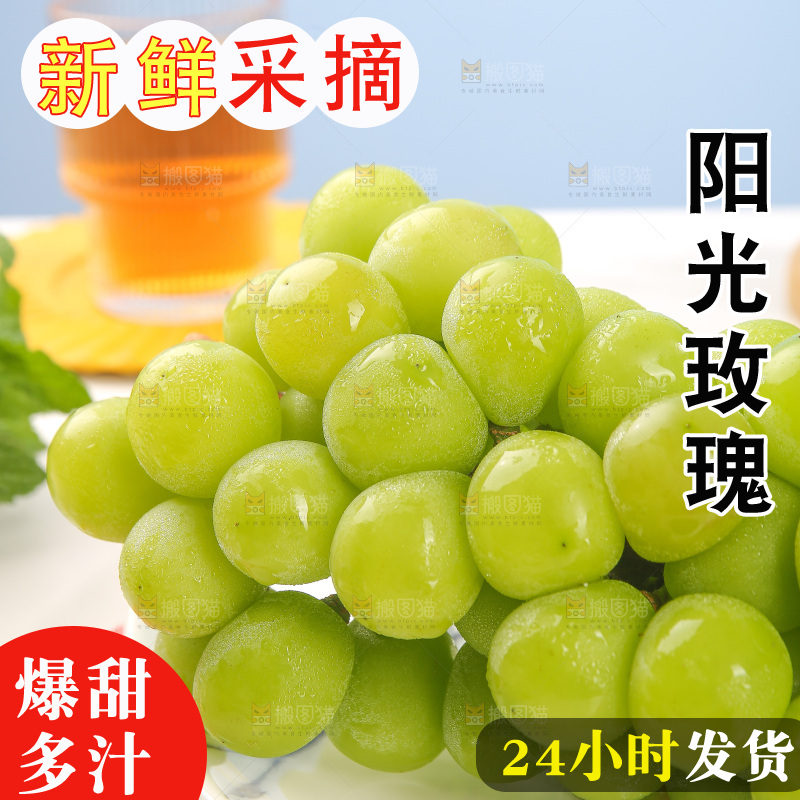 浅底上的阳光玫瑰