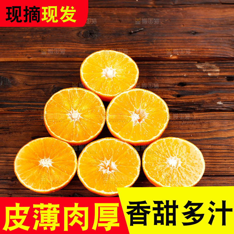 深底上的爱媛果冻橙