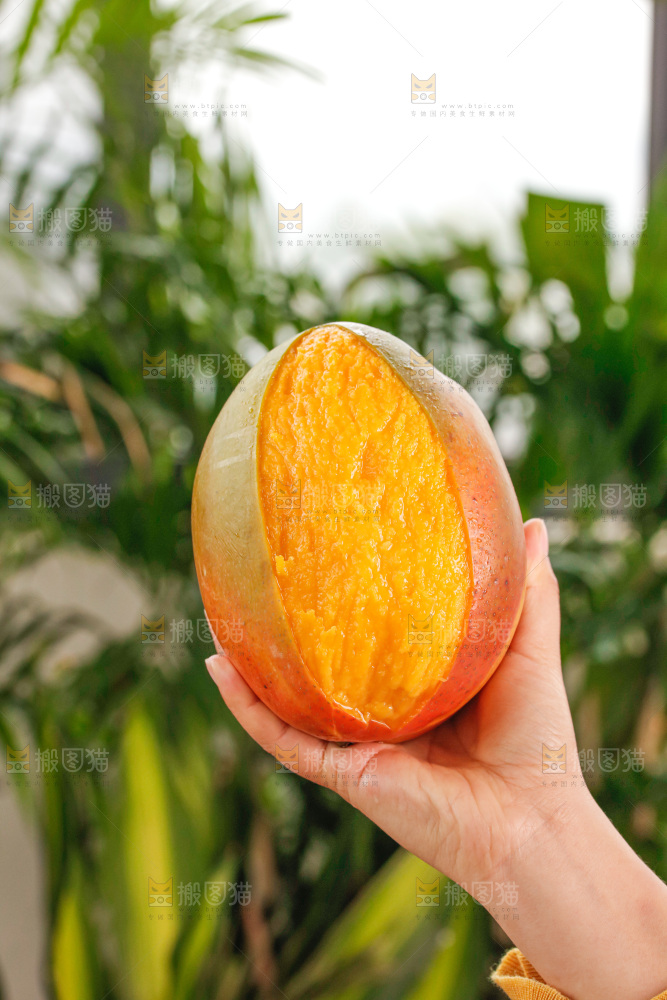 手里拿着凯特芒