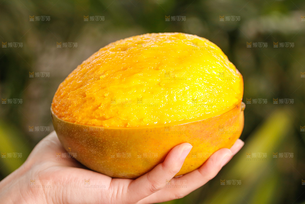 手里拿着凯特芒