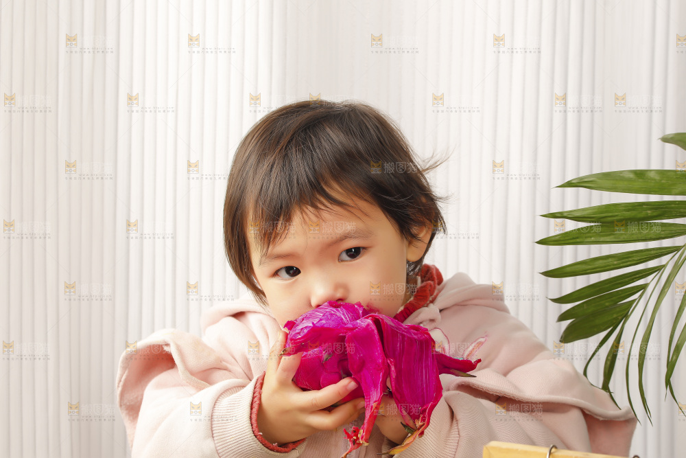 小孩吃红心火龙果