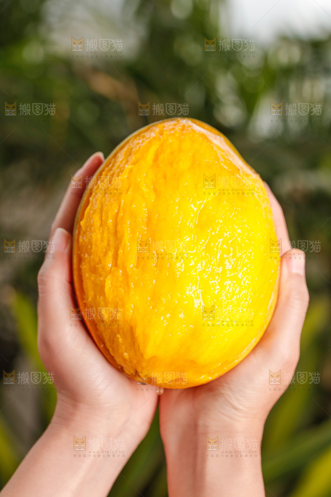 手里拿着凯特芒