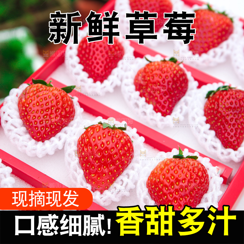 礼盒装新鲜丹东草莓