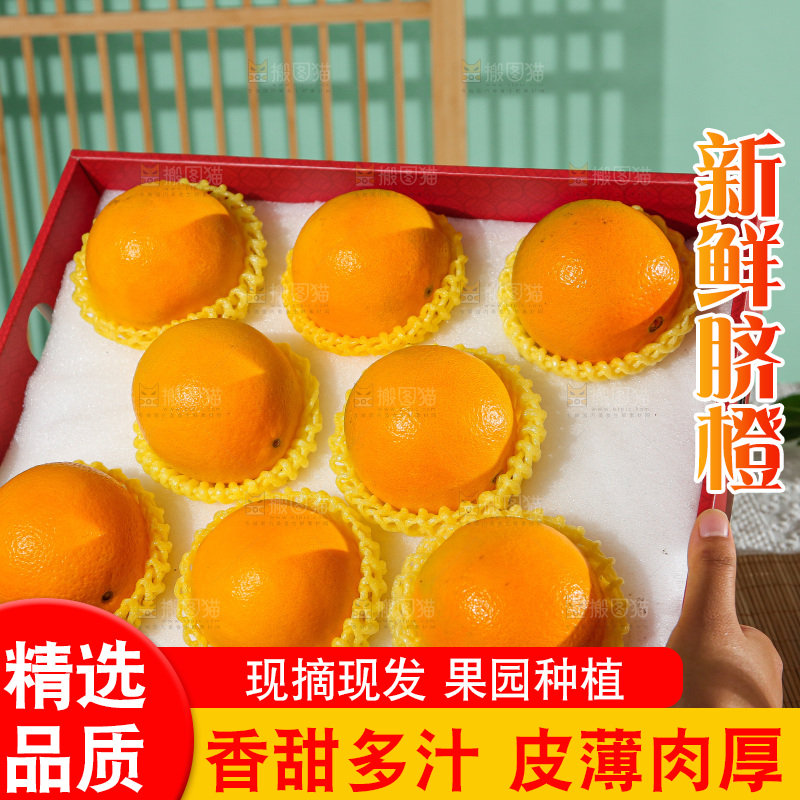 浅底上的赣南脐橙