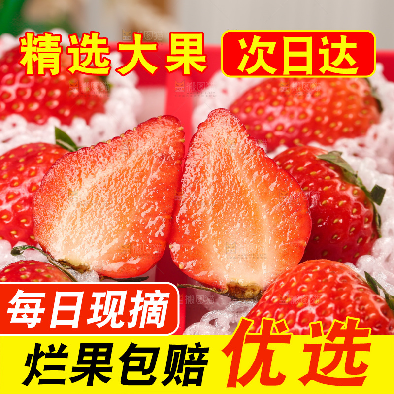 浅底上的丹东大草莓