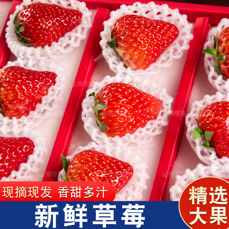 礼盒装新鲜丹东草莓