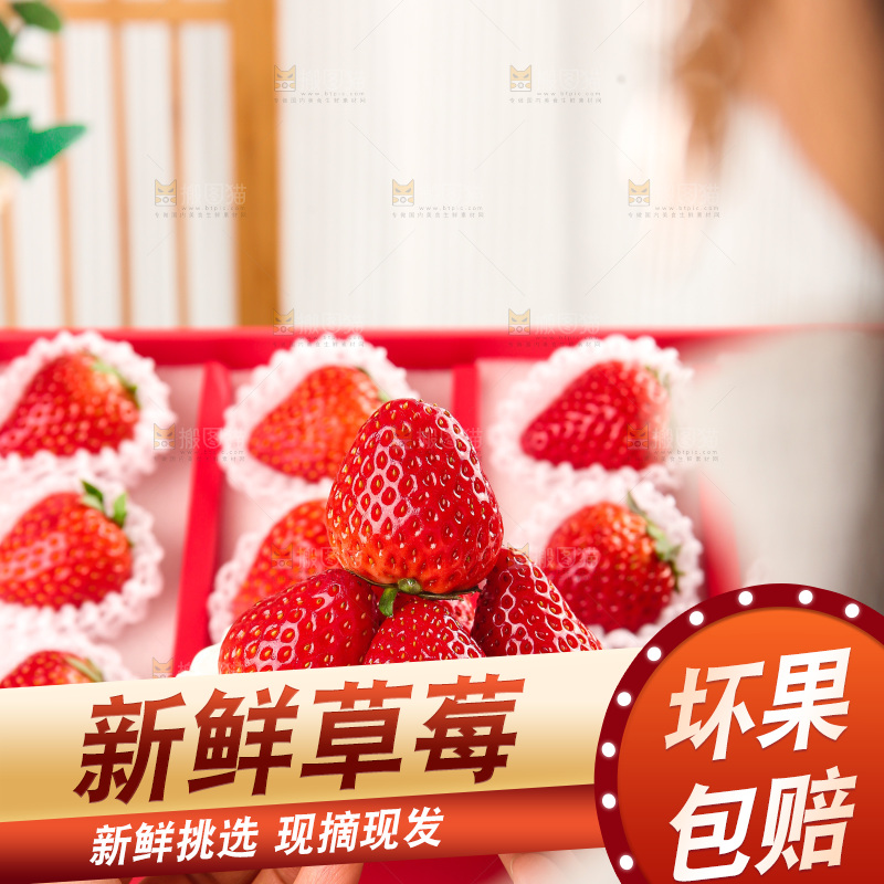 礼盒装新鲜丹东草莓