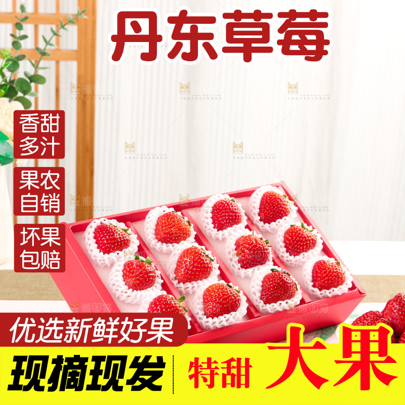礼盒装新鲜丹东草莓