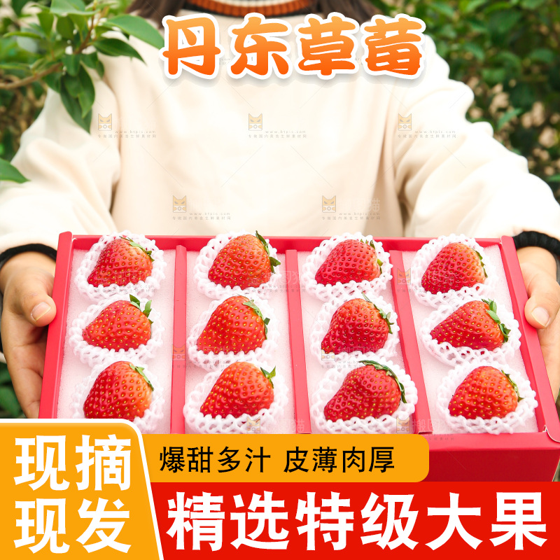 礼盒装新鲜丹东草莓
