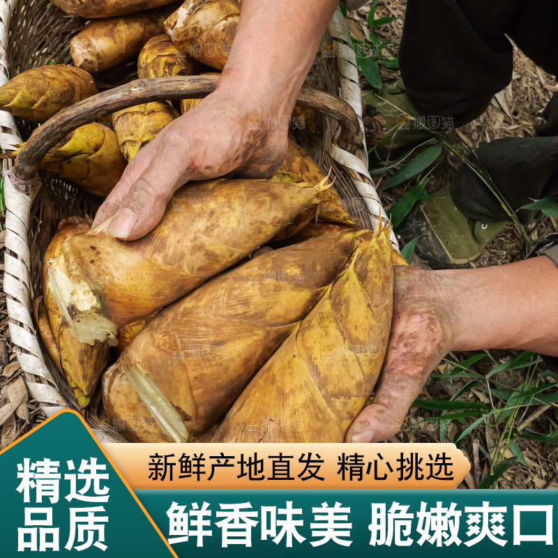 手里拿着的大冬笋