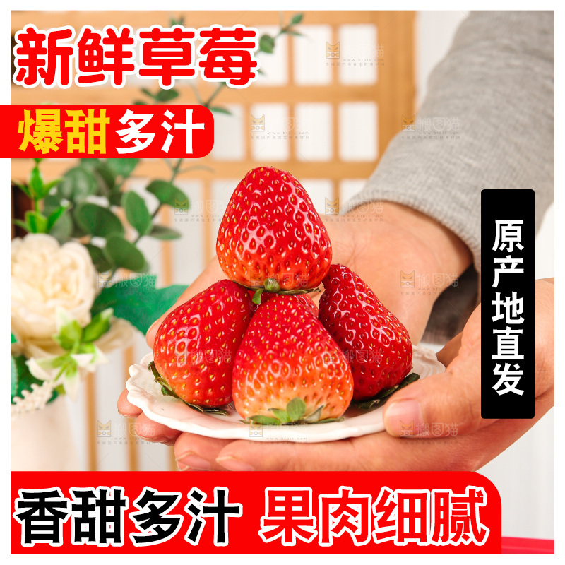 礼盒装新鲜丹东草莓