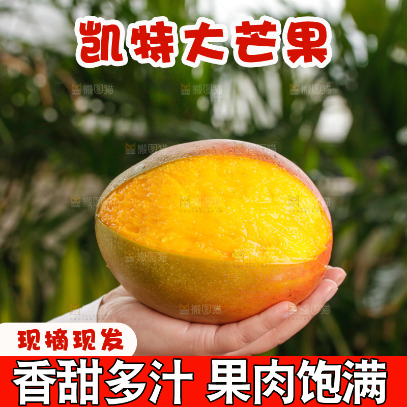 手里拿着凯特芒