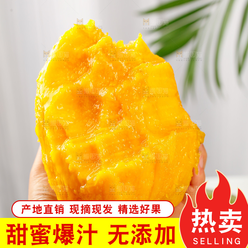 浅底上的凯特芒