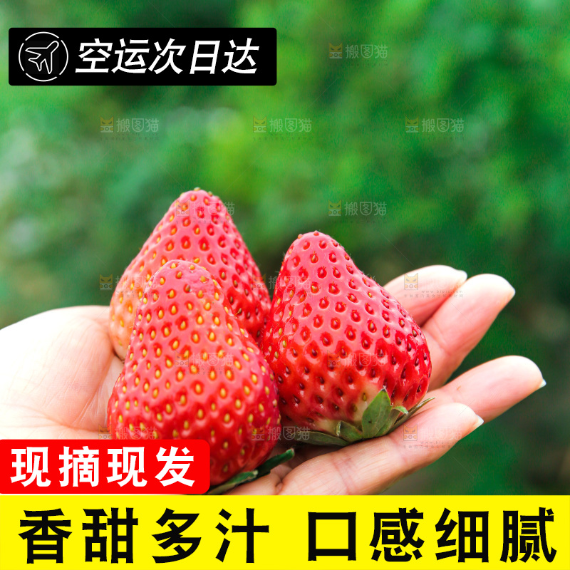 手拿着的草莓