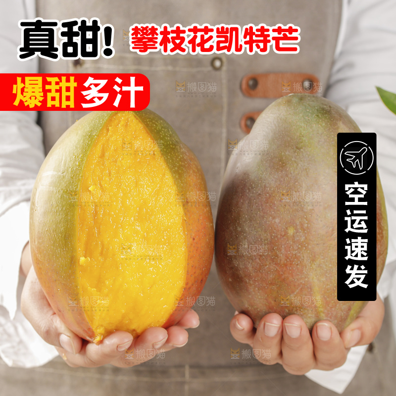 手里拿着凯特芒