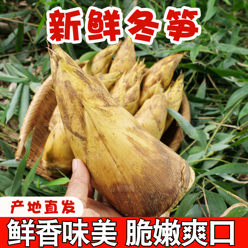 手里拿着的大冬笋