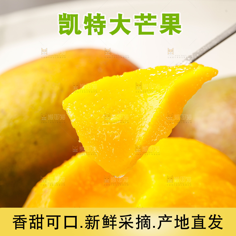 浅底上的凯特芒