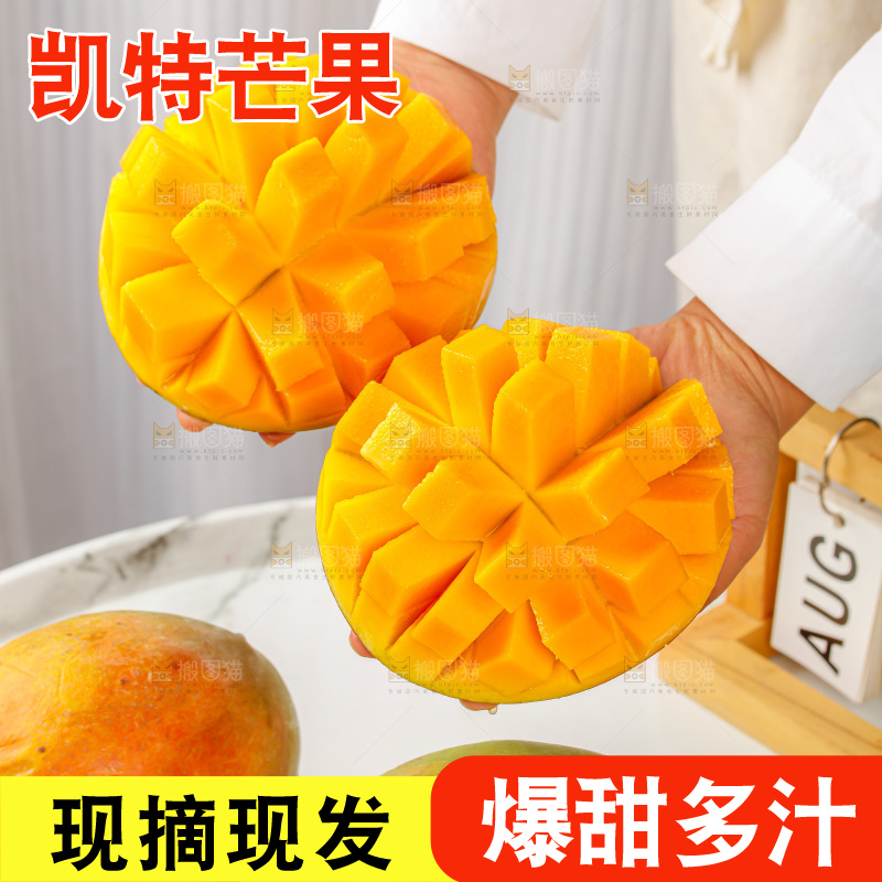 手里拿着凯特芒