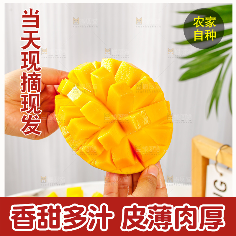 手里拿着凯特芒