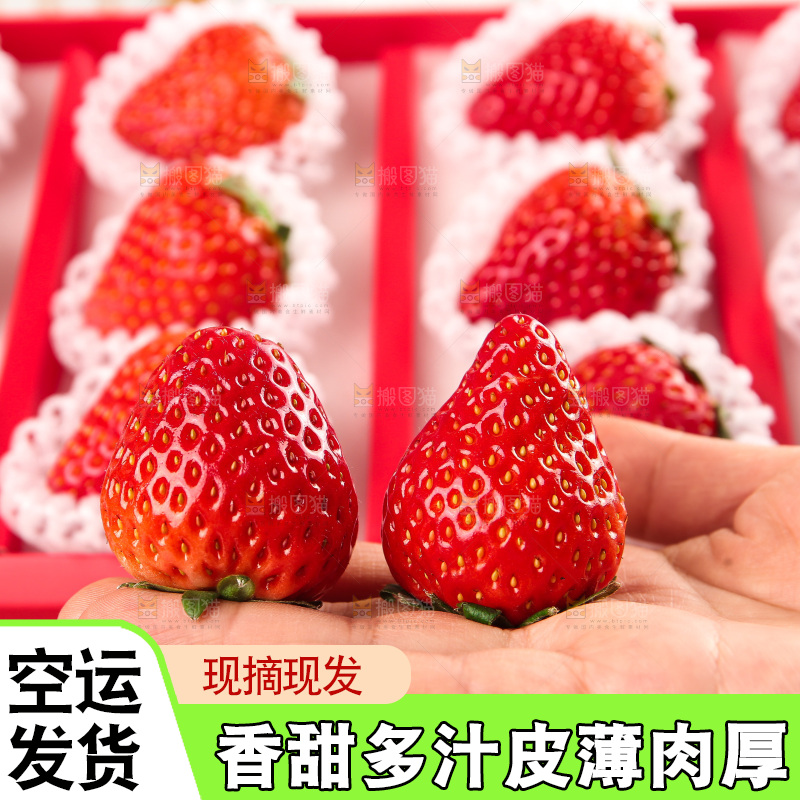 礼盒装新鲜丹东草莓