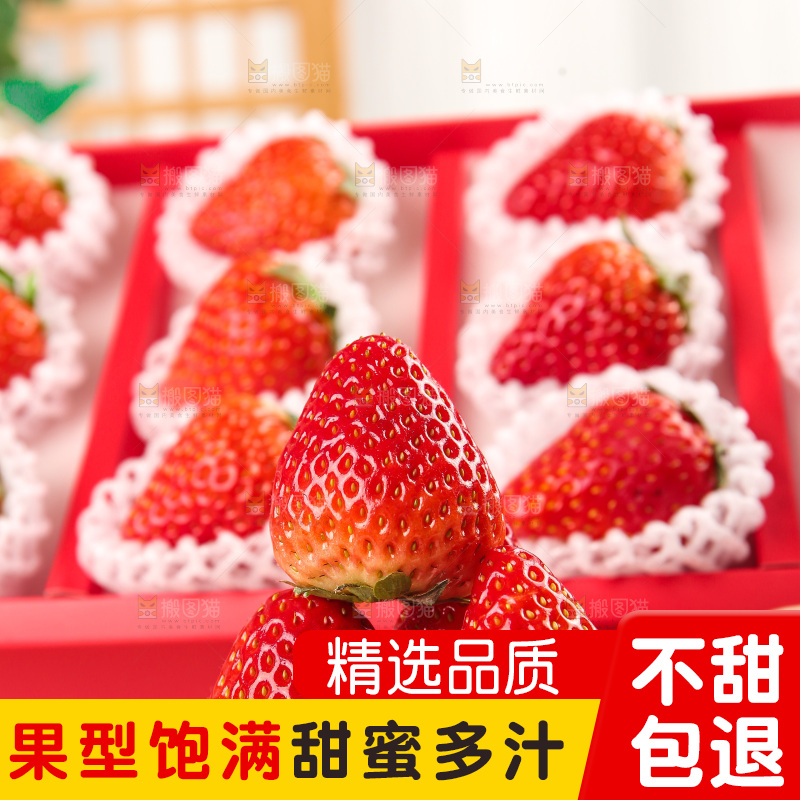 礼盒装新鲜丹东草莓