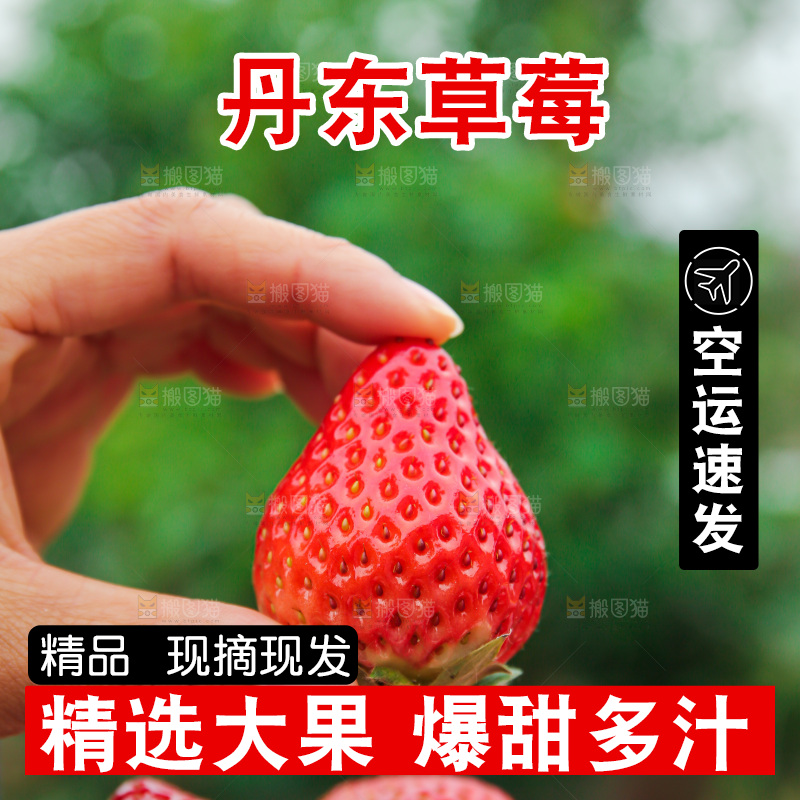 手拿着的草莓