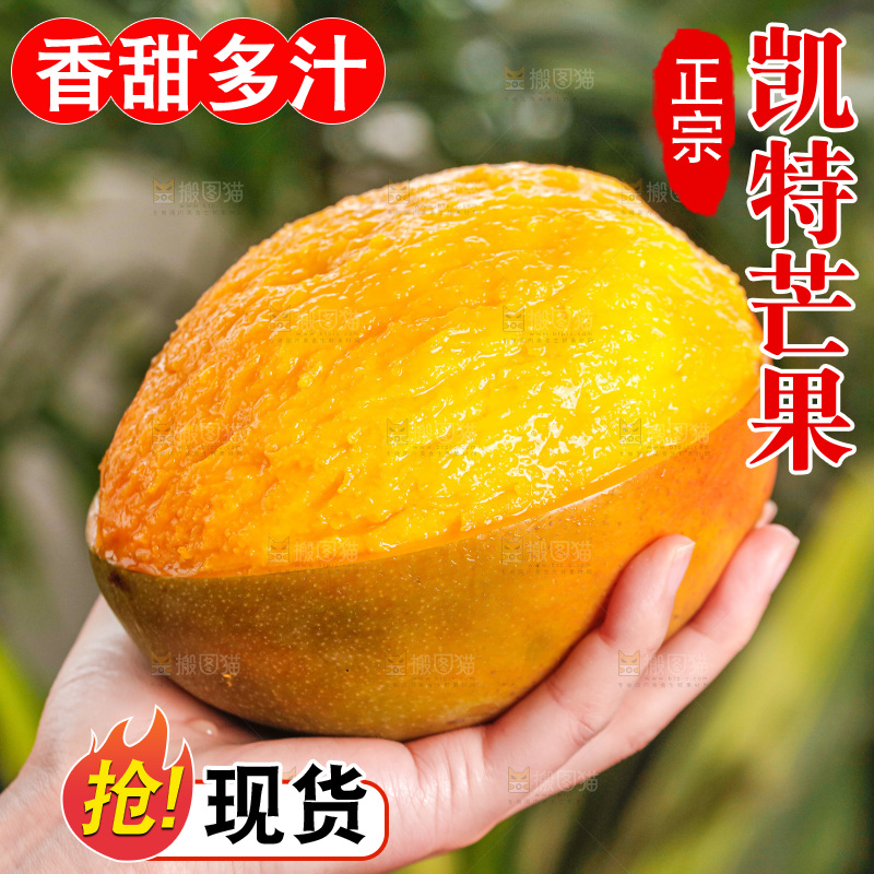手里拿着凯特芒