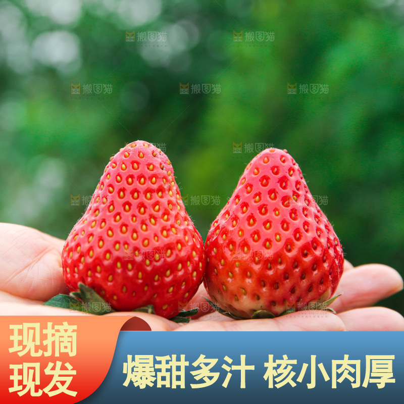 手拿着的草莓