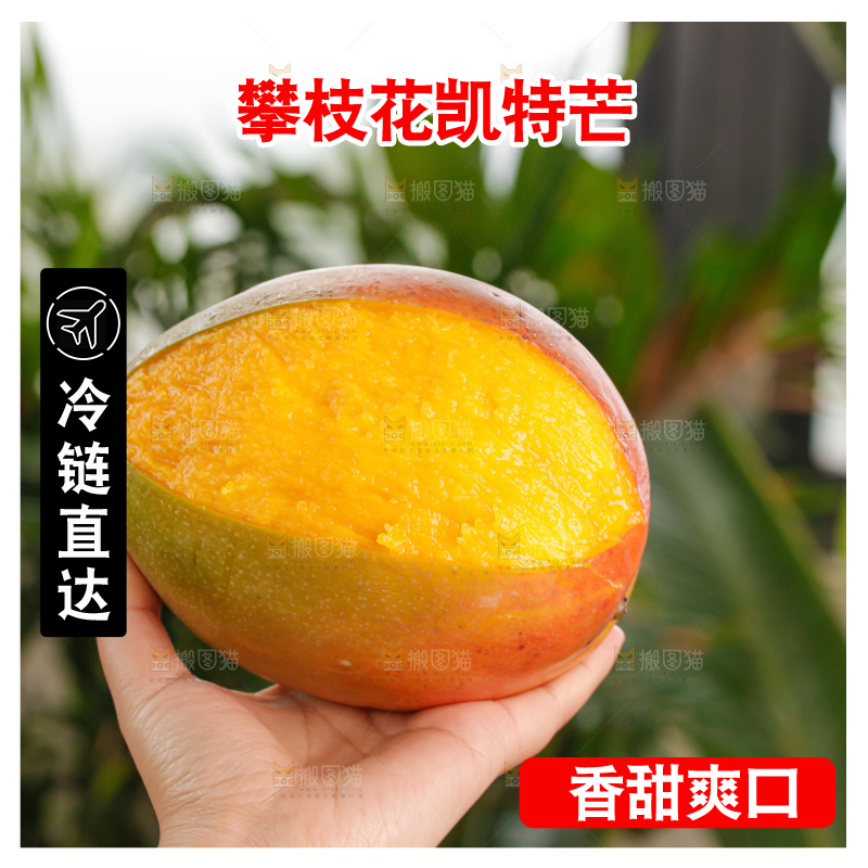 手里拿着凯特芒