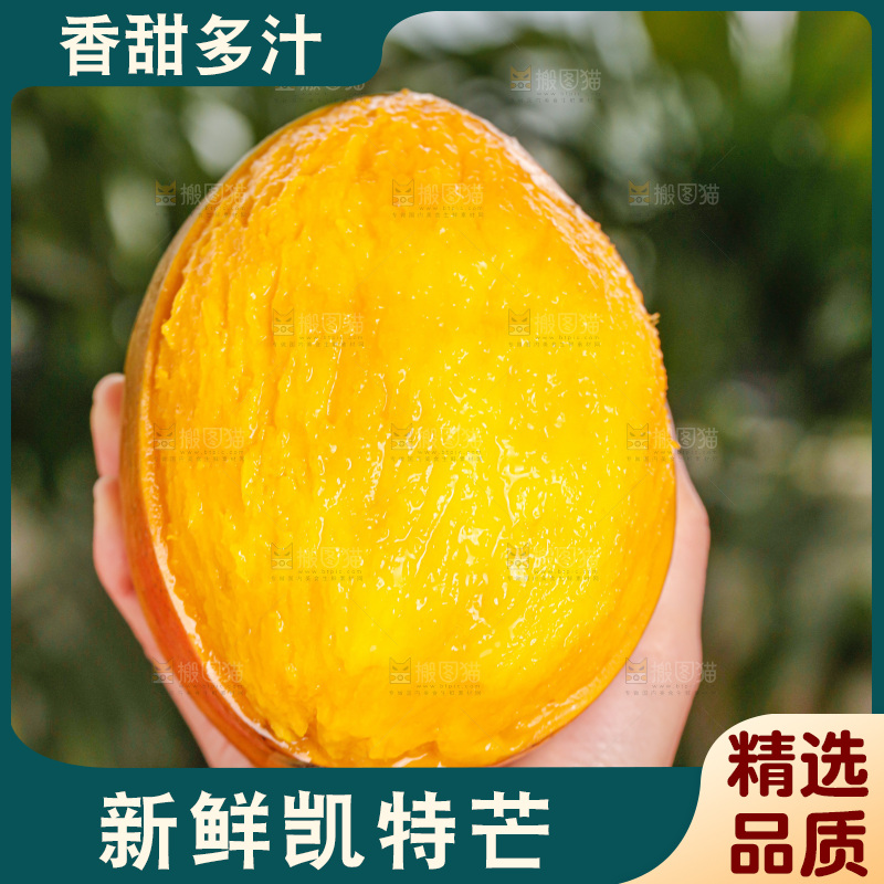 手里拿着凯特芒